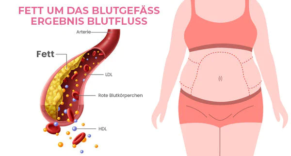 Oveallgo™ Graphene Ultimativ Fiber Restoration High Waist Briefs - Image 5