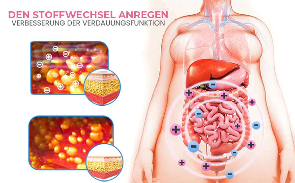 Oveallgo™ Graphene Ultimativ Fiber Restoration High Waist Briefs - Image 4