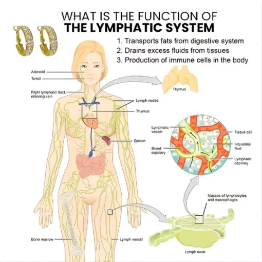 Liacsy™ Detoxify LymphFlow Huggie Earrings - Image 8