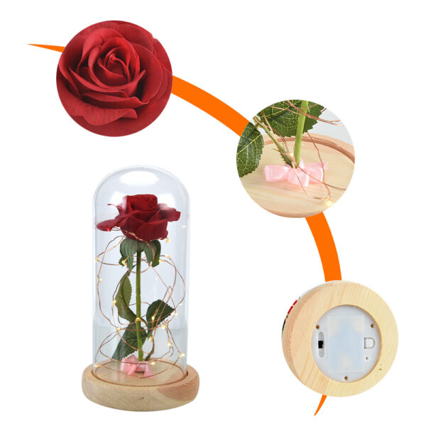 Enchanted Rose Flower Lamp Moonqo Store