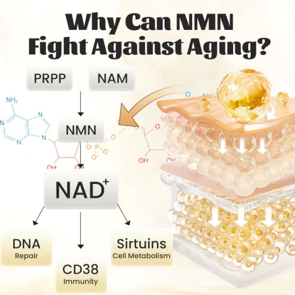 Ceoerty™ RevTime NMN Age-Defying Essence - Image 5