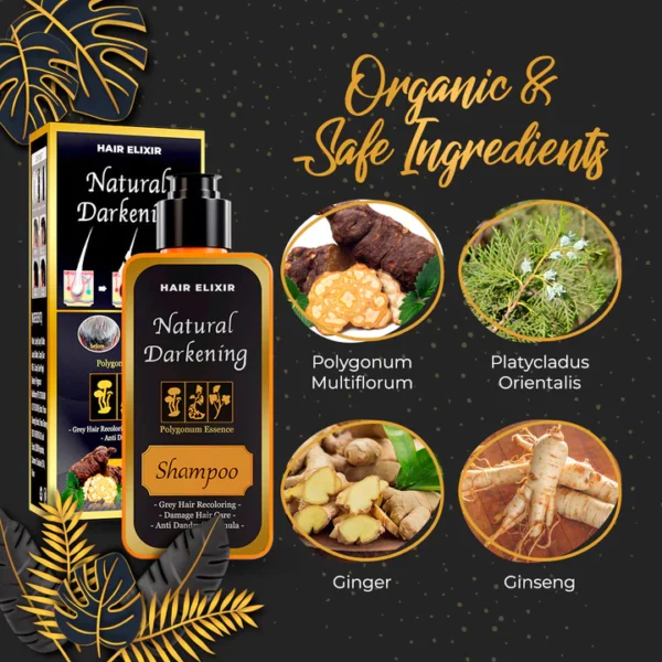 Hair-Elixir Natural Darkening Shampoo - Image 4