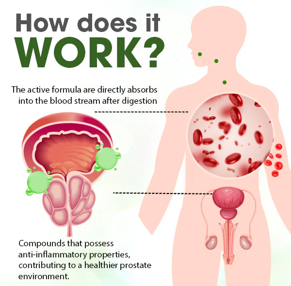 ProsCare™ Herbal Support Tea - Image 7