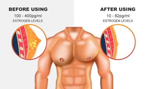 Luhaka™ Gynecomastia Cream – Chest Fat Burner - Image 6