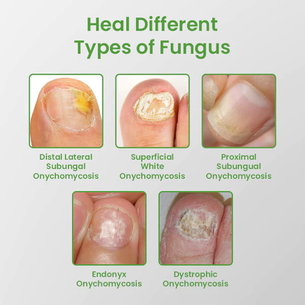 flysmus™ BewtyBum Maca Plumpy Up Cream - Image 8