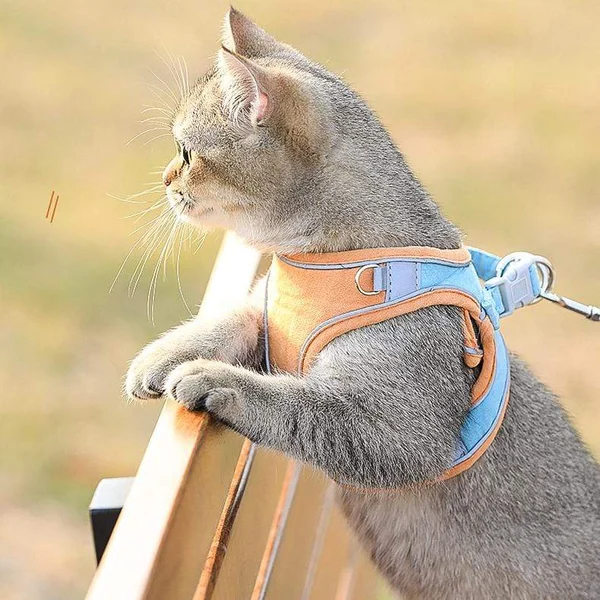 Cat Vest And Belt Kit Pet Traction Rope - Image 5