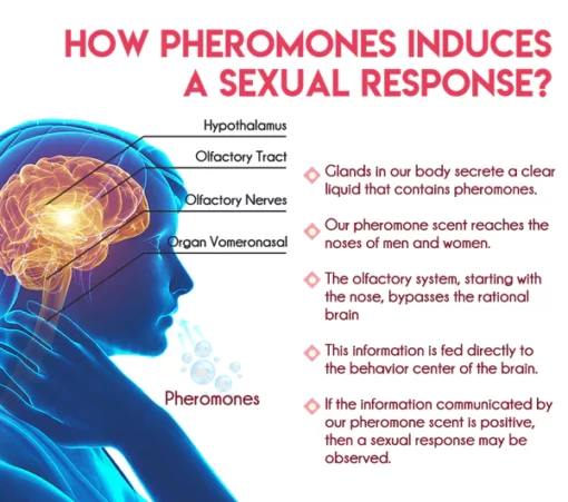flysmus™ MystiBelle Pheromone Solid Perfume - Image 4