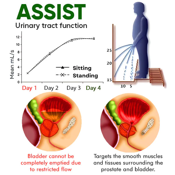 ProsCare™ Herbal Support Tea - Image 5