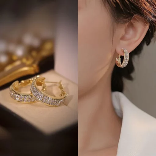 Liacsy™ Detoxify LymphFlow Huggie Earrings - Image 5