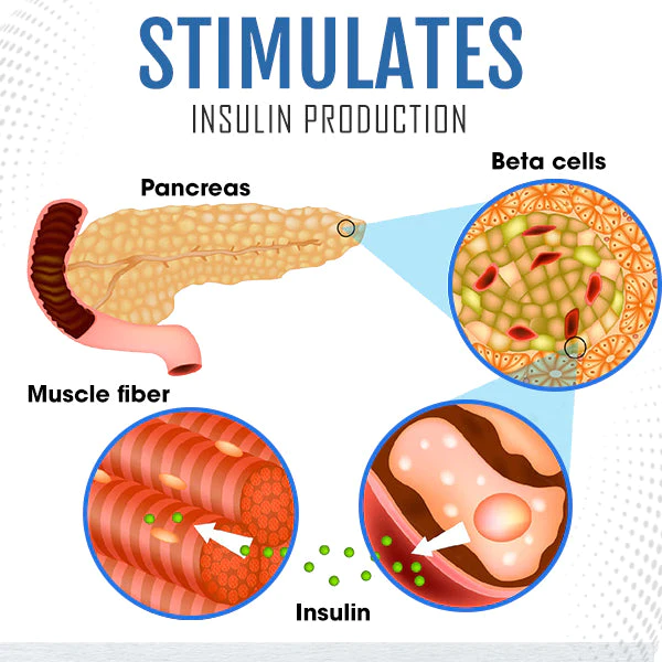 Healthify™ Sugar Control Inhaler - Image 3