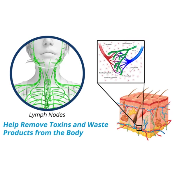SkinAura™ EMS Microcurrent Facial V Shape Beauty Device - Image 4