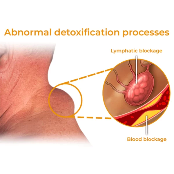 GFOUK™ Sculpting Lymphatic Drainage Detox Cream - Image 6