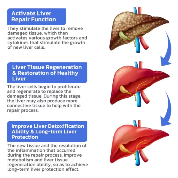Humxf™ OrganicLeaf Liver Cleanse Detox Repair Spray - Image 6