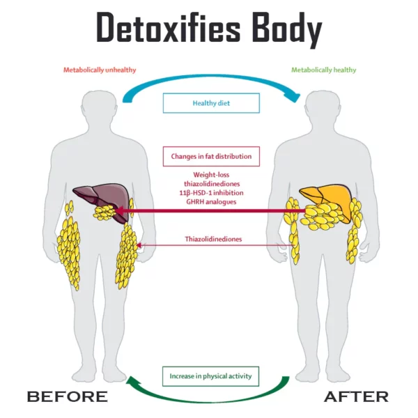 Ricpind IonicPro Men BodySlimming EnergyField Short - Image 7