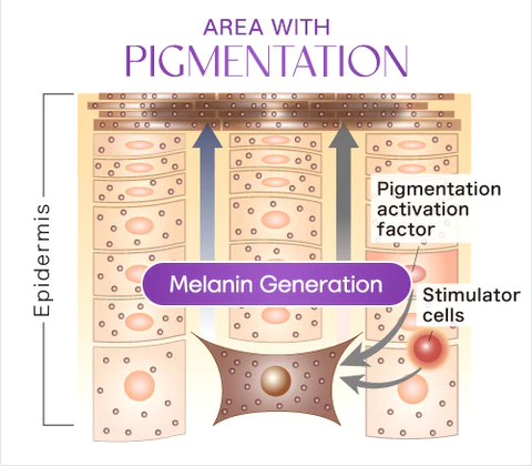 Liacsy™ Inntimate Lightening Cream - Image 6