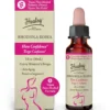 HEALSY CURVY WOMENS DROPS