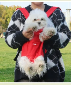 Portable Breathable Pet Outing Bag