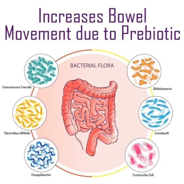 ATTDX GutWellness Concentrated Plum Juice - Image 7