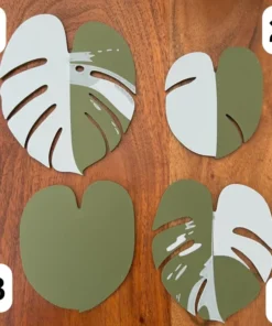 Funny Monstera Albo Coaster Plant