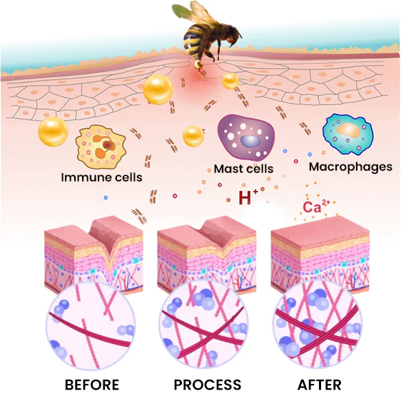 BeevHeal™ Scar Removal Spray - Image 9
