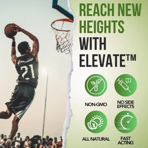 Elevate™ Height Enhancer Oil - Image 3