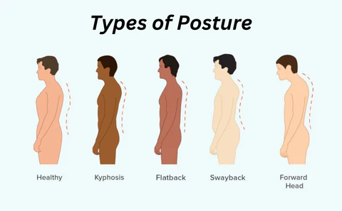 Fivfivgo™ MENIONIC Turmalin-Haltungskorrekturweste - Image 7