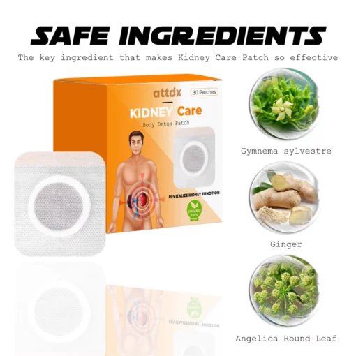 ATTDX KidneyCare Body Detox Patch - Image 7