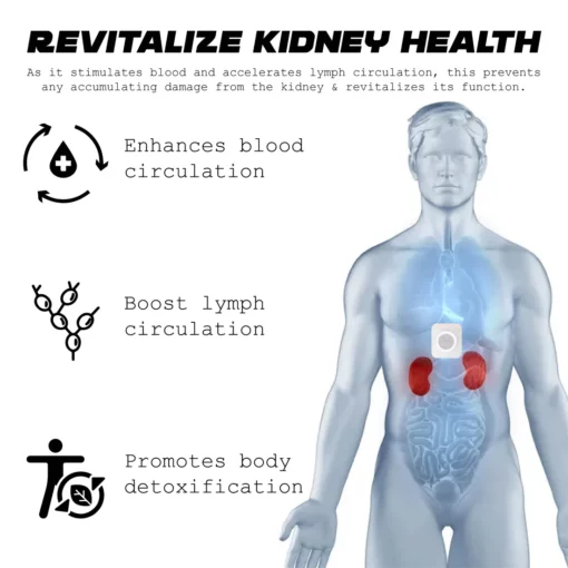ATTDX KidneyCare Body Detox Patch - Image 6