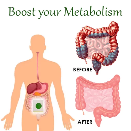 ATTDX Herbal Slimming BodyDetox Patch - Image 6