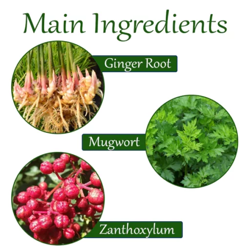 ATTDX Herbal Slimming BodyDetox Patch - Image 5