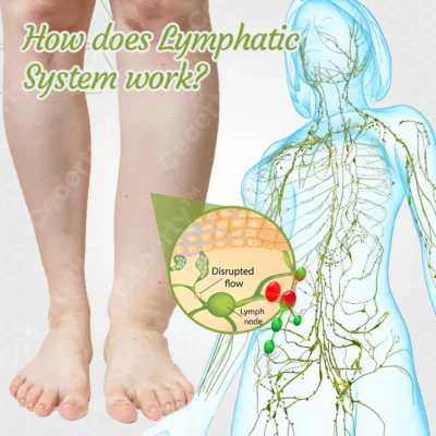 Ceoerty™ LymphaCare Bee Venom Soaking Beads - Image 8