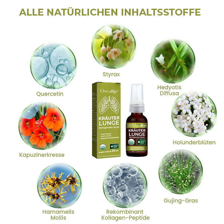 Oveallgo™ FRESH BreatheWell Natürliches Kräuterspray für Lungen- und Atemwegsunterstützung - Image 3