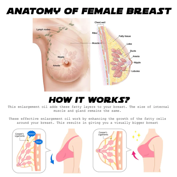 Ricpind EMSLift PlumpUp BustMassager - Image 6