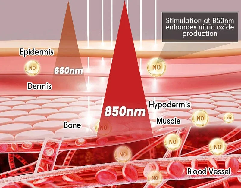 Seurico™ Sugar Regulator Wristband - Image 7