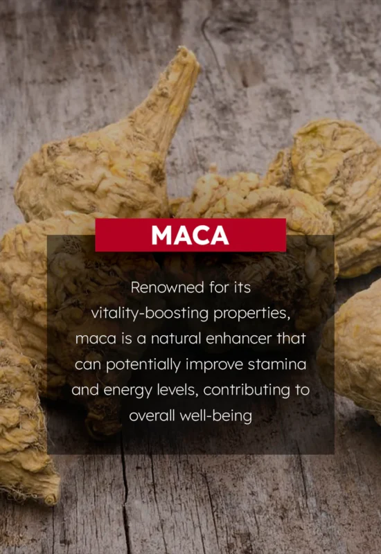 BioChoice Pro Men Max Vitality Oil - Image 5