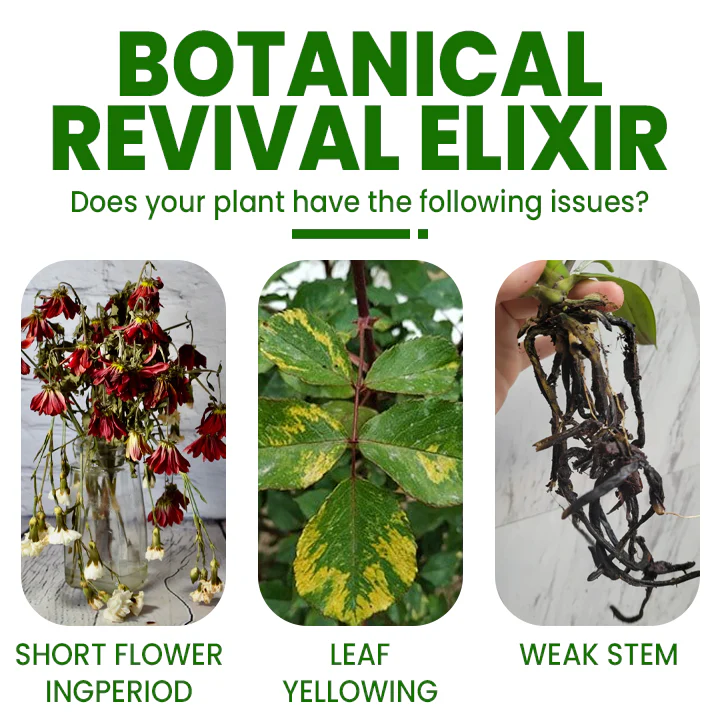 LIMETOW™ Botanical Revival Elixir - Image 4