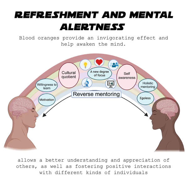 ATTDX BloodOrange ImmuneSupport DetoxTea - Image 6