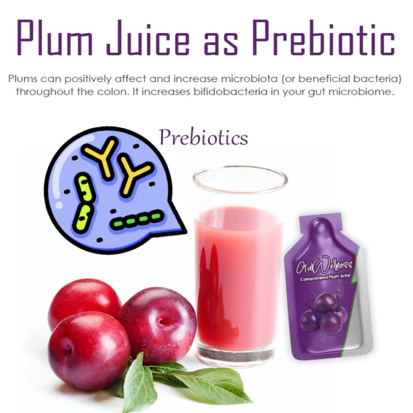 ATTDX GutWellness Concentrated Plum Juice - Image 4