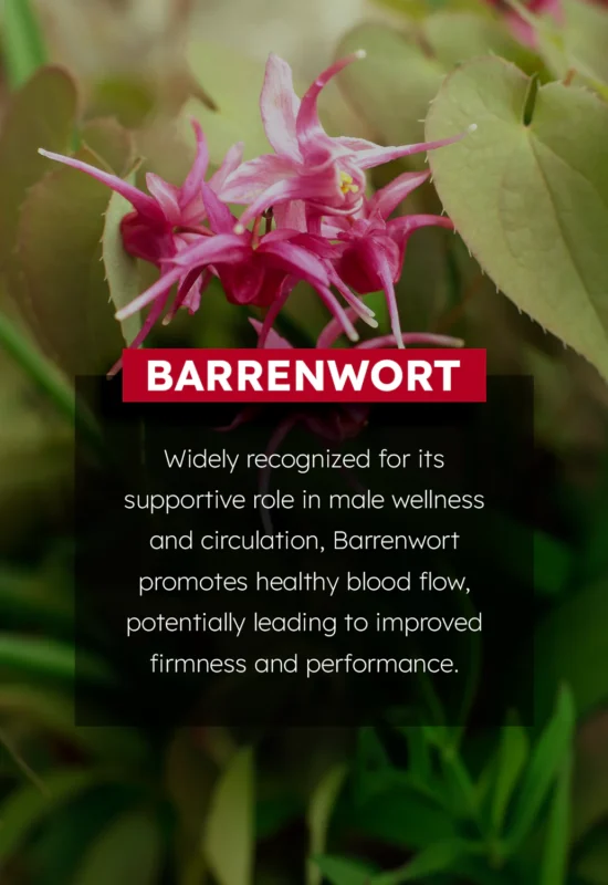 BioChoice Pro Men Max Vitality Oil - Image 4