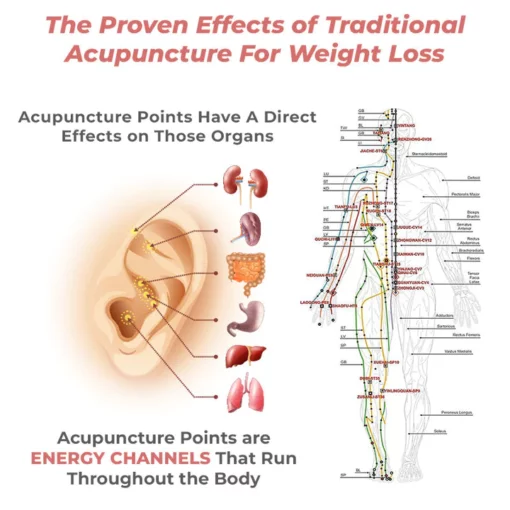 flysmus™ LymphFlow Magnetogen Earrings - Image 4