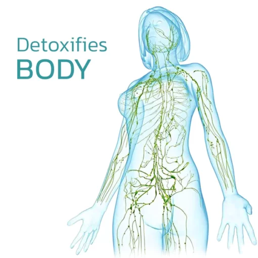 EMS Pocket Bioelectric Acupoints Lymphvity Massager Pads - Image 6