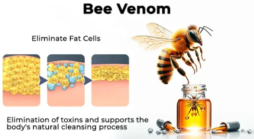 Fivfivgo™ BeeVenom Abnehmendes Fußpflaster - Image 6