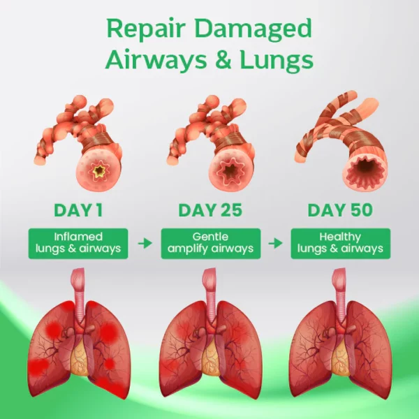 Ceoerty™ PureAir Herbal Lung Cleansing Patch - Image 3