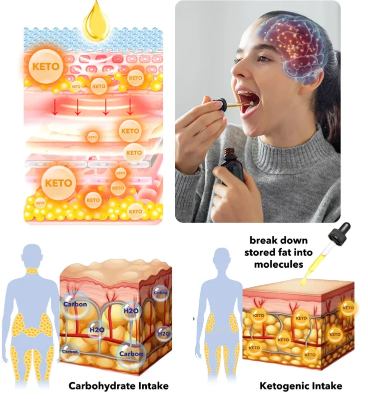 GFOUK™ KETOPRO Burning Ketogenic Complement Drops - Image 6