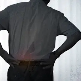 Seurico™ Bee Venom Joint & Bone Therapy Cream - Image 3