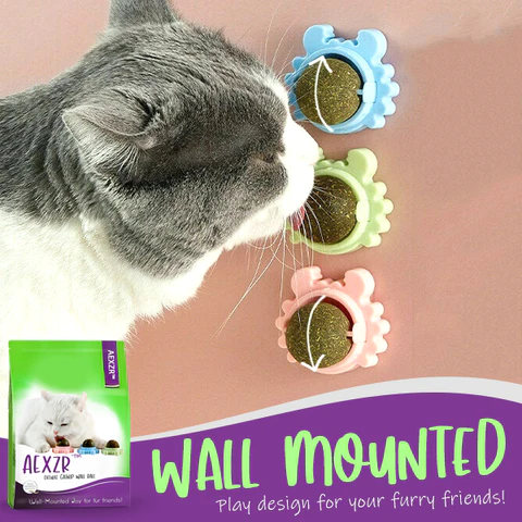 AEXZR™ Deluxe Catnip Wall Ball