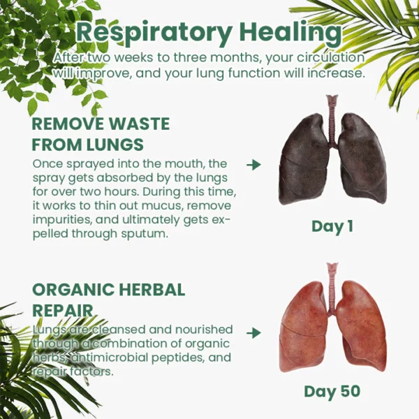 CC™ HerbaFresh Lung Cleanse Mist - Image 7