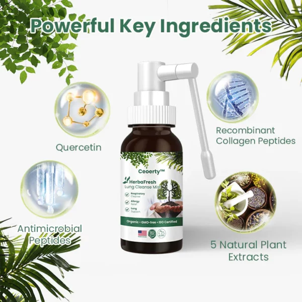 CC™ HerbaFresh Lung Cleanse Mist - Image 6