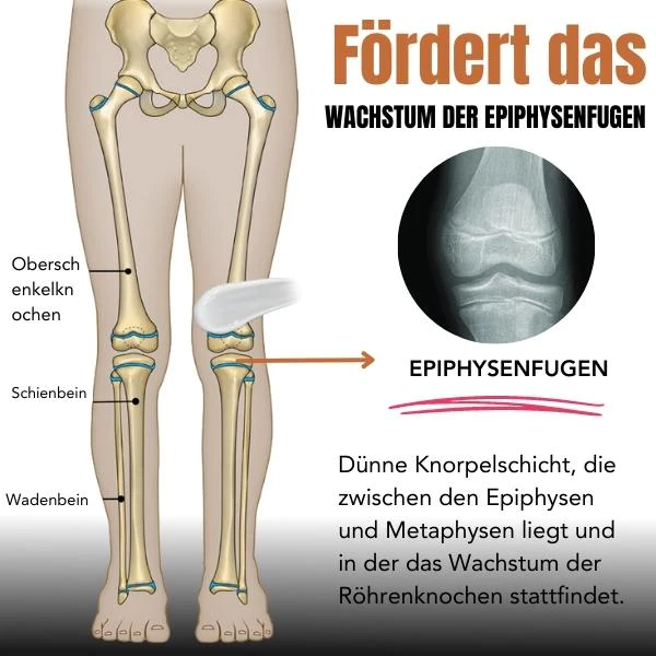 ElevateX™ Creme für Höhenwachstum - Image 4