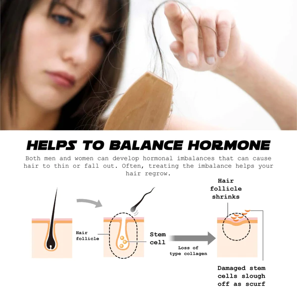 ATTDX Hair Follicle Renewal Black Sesame Ball - Image 3